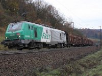Bild 28  Im November 2009 befuhr SNCF-Lok 437 038 mit einem langen Holzzug den oberen Teil der Spessartrampe. Der Zug wurde zusätzlich durch das blaue Krokodil 1020 041 nachgeschoben - leider wegen der Zuglänge nicht sichtbar.