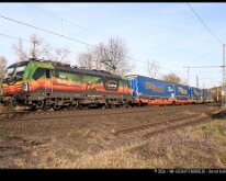 193 807 BUDAMAR - GEMSE Hösbach, 07.03.2026